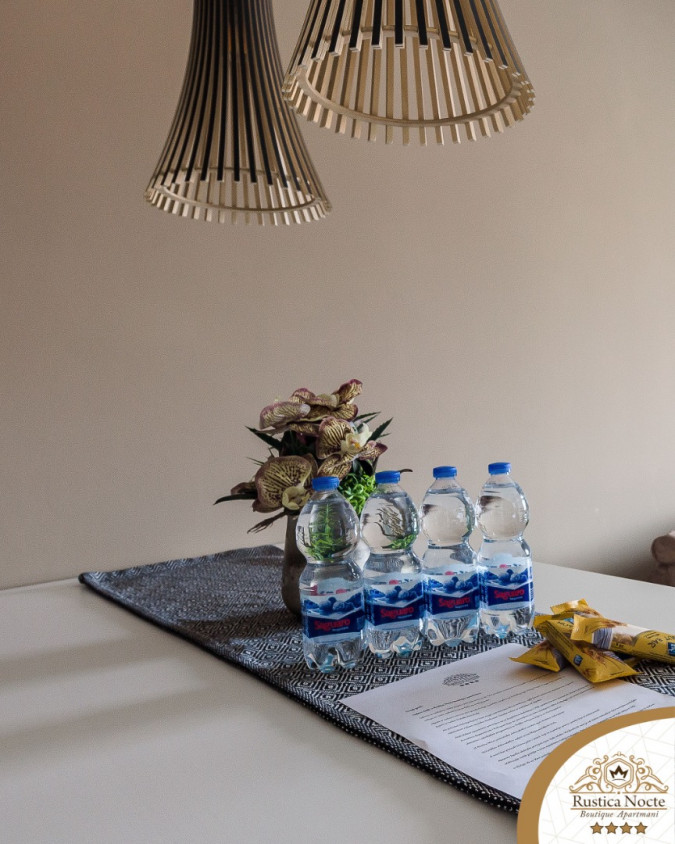 DELUXE DVOSOBAN APARTMAN S POGLEDOM NA GRAD 2, Rustica Nocte Boutique apartmani u centru Požege, Slavonija Požega