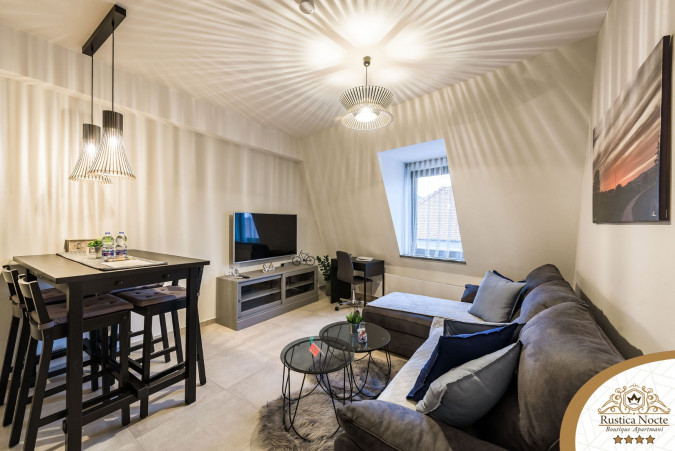 DELUXE JEDNOSOBAN APARTMAN 1, Rustica Nocte Boutique apartmani u centru Požege, Slavonija Požega