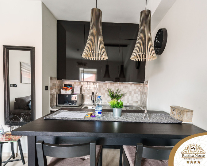 DELUXE JEDNOSOBAN APARTMAN 1, Rustica Nocte Boutique apartmani u centru Požege, Slavonija Požega