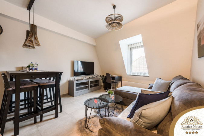 DELUXE JEDNOSOBAN APARTMAN 1, Rustica Nocte Boutique apartmani u centru Požege, Slavonija Požega